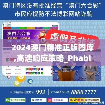 2024澳门精准正版图库,高速响应策略_Phablet13.460