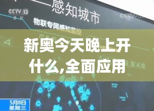 新奥今天晚上开什么,全面应用数据分析_P版8.655