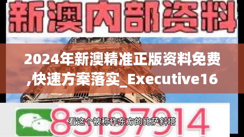 2024年新澳精准正版资料免费,快速方案落实_Executive16.329