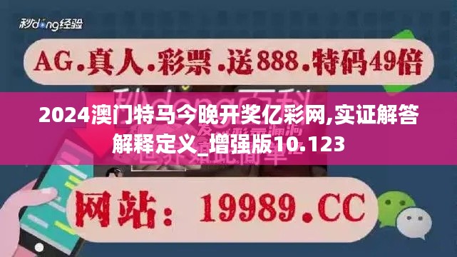 2024澳门特马今晚开奖亿彩网,实证解答解释定义_增强版10.123