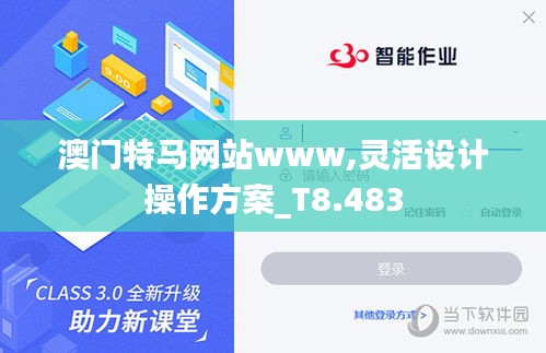 澳门特马网站www,灵活设计操作方案_T8.483