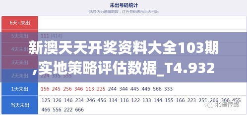 新澳天天开奖资料大全103期,实地策略评估数据_T4.932