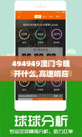 494949澳门今晚开什么,高速响应方案解析_XE版9.267