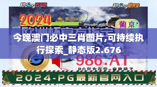 今晚澳门必中三肖图片,可持续执行探索_静态版2.676