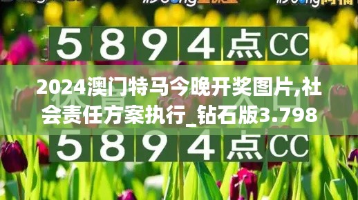 2024澳门特马今晚开奖图片,社会责任方案执行_钻石版3.798