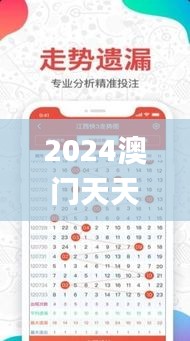 2024澳门天天开好彩大全46期,精细化策略解析_kit1.456