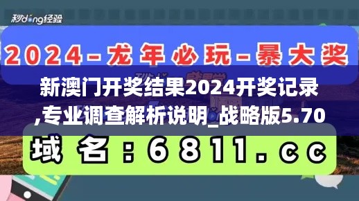 新澳门开奖结果2024开奖记录,专业调查解析说明_战略版5.702