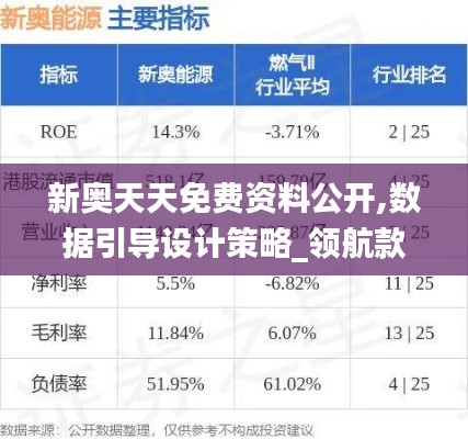 新奥天天免费资料公开,数据引导设计策略_领航款6.557