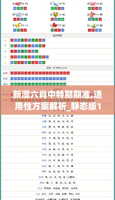 新澳六肖中特期期准,适用性方案解析_静态版13.989