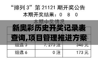 新奥彩历史开奖记录表查询,项目管理推进方案_8DM1.729