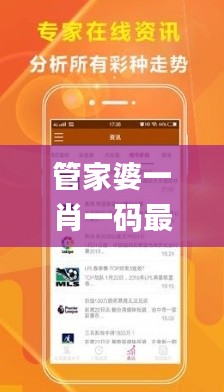 管家婆一肖一码最准资料公开,高速解析方案响应_V27.901