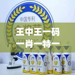 王中王一码一肖一特一中1,创新策略解析_影像版4.928