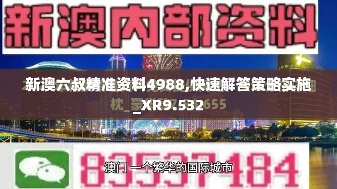 新澳六叔精准资料4988,快速解答策略实施_XR9.532