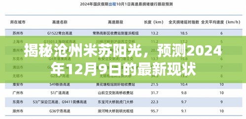 揭秘沧州米苏阳光最新现状，预测至2024年12月9日的最新发展动态