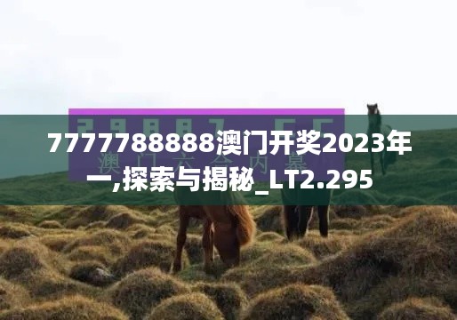 7777788888澳门开奖2023年一,探索与揭秘_LT2.295