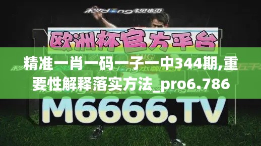 精准一肖一码一子一中344期,重要性解释落实方法_pro6.786