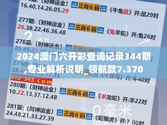 2024澳门六开彩查询记录344期,专业解析说明_领航款7.370