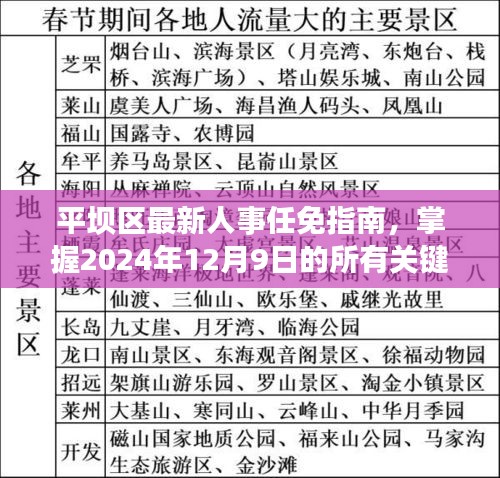 平坝区人事任免指南，掌握最新人事任免关键步骤（截至2024年12月9日）