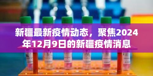 新疆疫情最新动态，聚焦2024年12月9日的最新消息