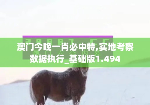 澳门今晚一肖必中特,实地考察数据执行_基础版1.494