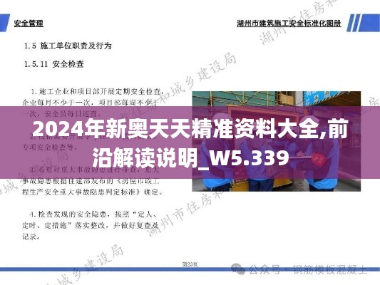 2024年新奥天天精准资料大全,前沿解读说明_W5.339