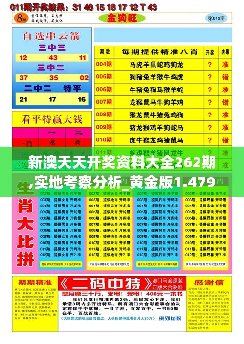 新澳天天开奖资料大全262期,实地考察分析_黄金版1.479