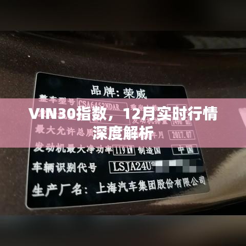 VIN30指数深度解析，12月实时行情概览