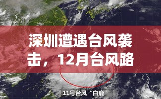 深圳台风袭击实时报道，12月台风路径与路况图深度解析