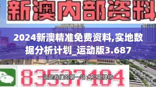 2024新澳精准免费资料,实地数据分析计划_运动版3.687