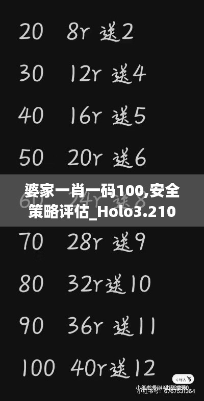 婆家一肖一码100,安全策略评估_Holo3.210