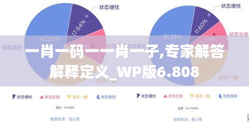 一肖一码一一肖一子,专家解答解释定义_WP版6.808