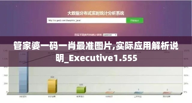 管家婆一码一肖最准图片,实际应用解析说明_Executive1.555