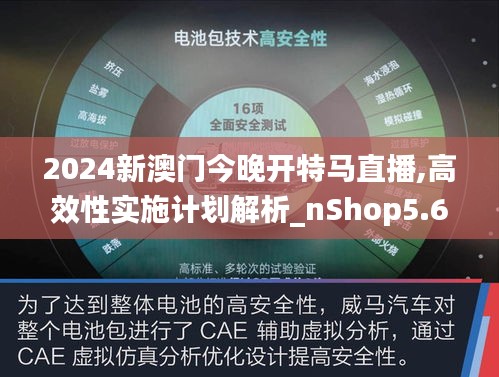 2024新澳门今晚开特马直播,高效性实施计划解析_nShop5.630