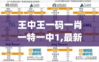 王中王一码一肖一特一中1,最新数据解释定义_QHD8.567