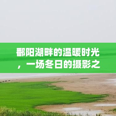 鄱阳湖畔冬日摄影之旅，捕捉温暖时光