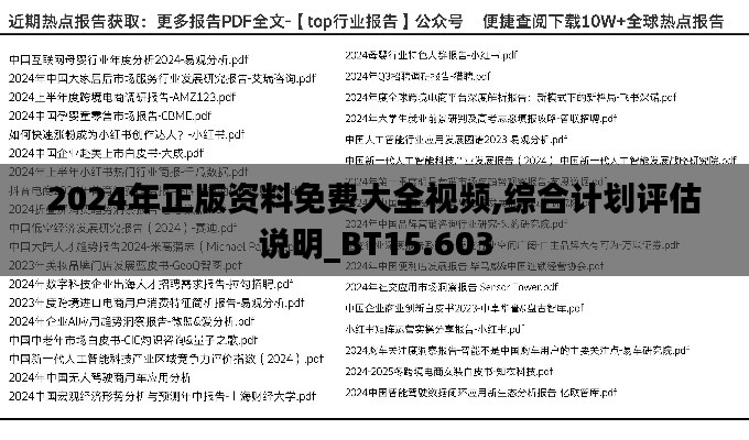 2024年正版资料免费大全视频,综合计划评估说明_BT15.603