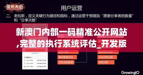 新澳门内部一码精准公开网站,完整的执行系统评估_开发版15.809