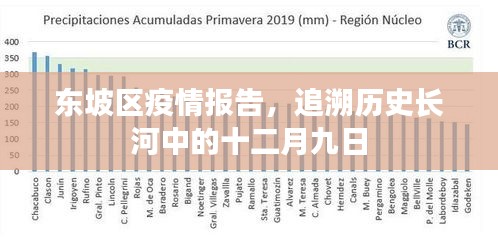 东坡区疫情报告，十二月九日疫情追溯与报告分析