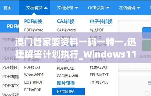 澳门管家婆资料一码一特一,迅捷解答计划执行_Windows11.327