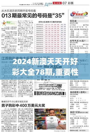 2024新澳天天开好彩大全78期,重要性解释定义方法_U4.315