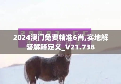 2024澳门免费精准6肖,实地解答解释定义_V21.738