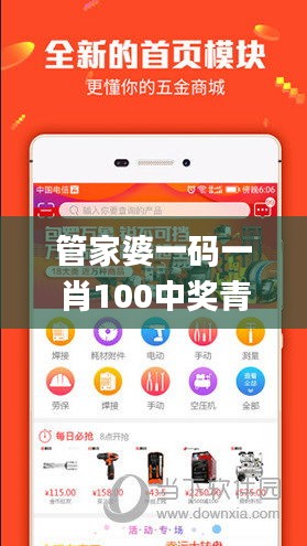 管家婆一码一肖100中奖青岛,快速解答计划解析_旗舰版2.105