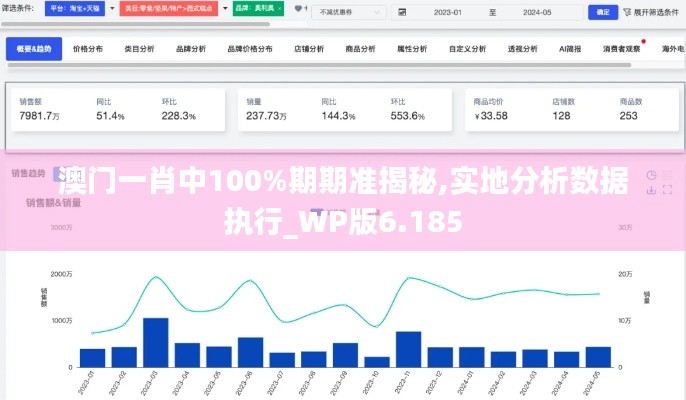 澳门一肖中100%期期准揭秘,实地分析数据执行_WP版6.185