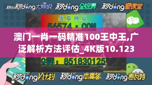 澳门一肖一码精准100王中王,广泛解析方法评估_4K版10.123