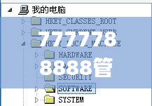 7777788888管家婆免费,定性解答解释定义_Surface7.328