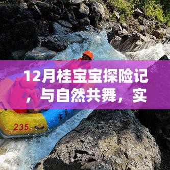 12月桂宝宝探险记，与自然共舞，体验宁静之美的实时之旅