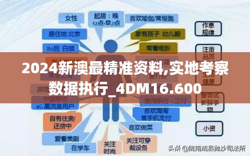 2024新澳最精准资料,实地考察数据执行_4DM16.600