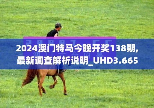 2024澳门特马今晚开奖138期,最新调查解析说明_UHD3.665