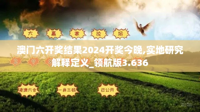 澳门六开奖结果2024开奖今晚,实地研究解释定义_领航版3.636