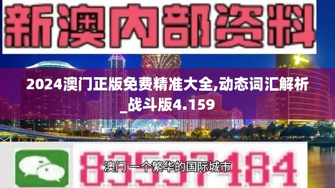 2024澳门正版免费精准大全,动态词汇解析_战斗版4.159